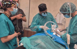 Cirugía con sedación en implantes Subperiósticos